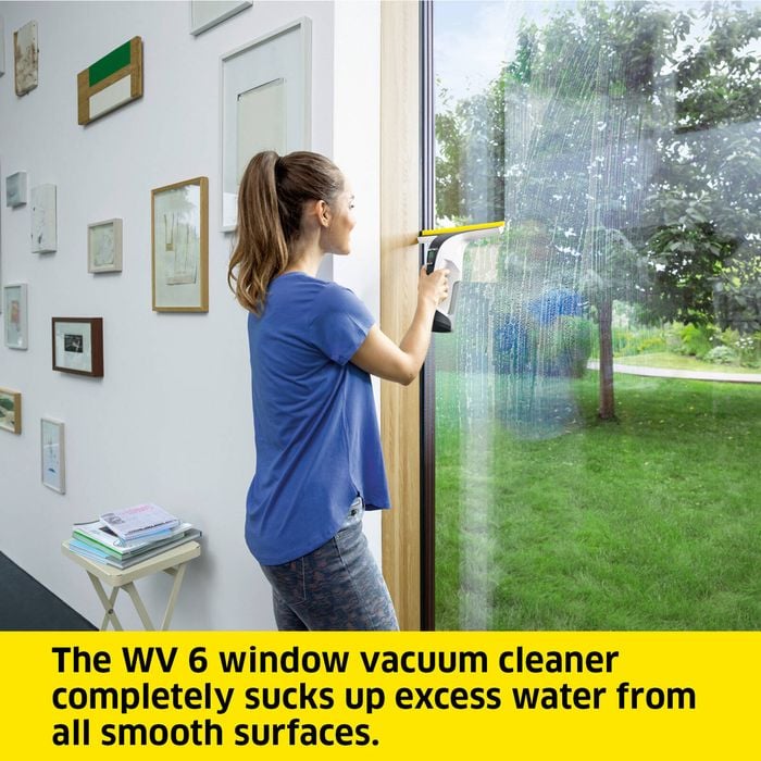 Karcher WV 6 Plus Window Vac