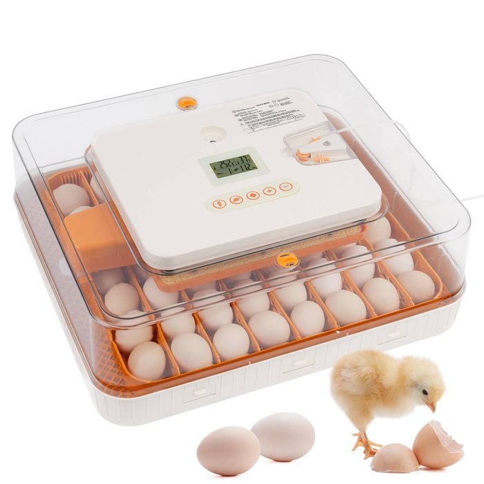 Advwin 56 Egg Incubator Built-in Egg Candler