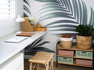 A room with a shelving unit with baskets and pot plants on it and a desk with a lap top on it