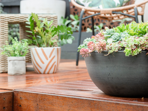 Three planters filled with colourful flowers