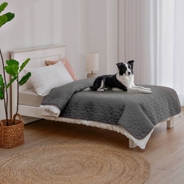Charlie's Sofur Waterproof Dog Bed Cover Protector Single/king Single 132x208cm Charcoal