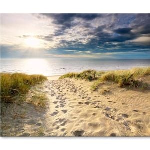 Sand Path to North Sea Beach   Print 100% Australian Made 75 x 50cm  (Stretched)