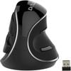 Delux Ergonomic Wireless Vertical Silent Mouse - 2.4G USB Receiver, M618Plus