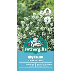 Fothergill's Alyssum Carpet Of Snow Flower Seeds