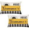 Catzon 2 Pcs Summer Lumbar Pillow Covers Linen Pillowcase for Home Decor-Set 36