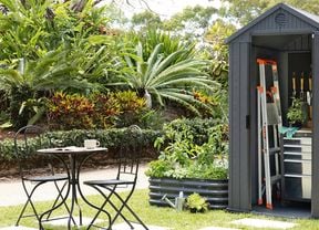Open grey garden shed in a backyard, showing two ladders, a metal tool chest, and garden tools hanging on the back wall, with plants and gloves inside