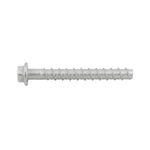Ramset 10 x 100mm Galvanised AnkaScrew Masonry Anchor