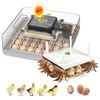 Advwin Automatic 48 Egg Incubator + Chicken Brooder Heating Plate
