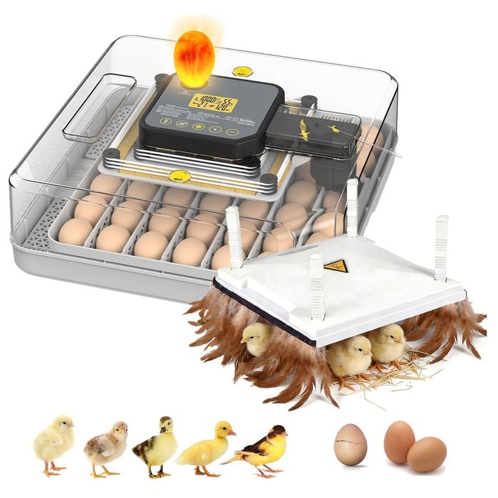 Advwin Automatic 48 Egg Incubator + Chicken Brooder Heating Plate