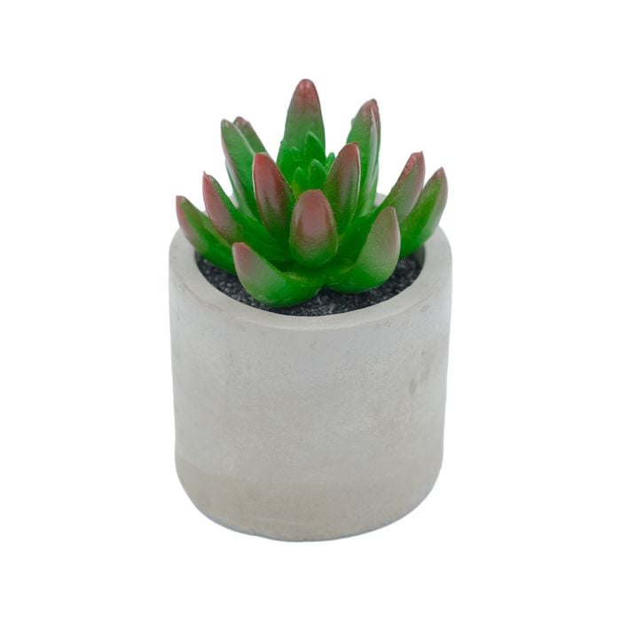 UN-REAL 13cm Green Artificial Succulent