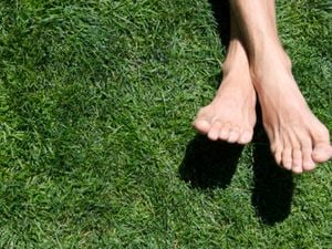 lush green lawn with some's feet relaxing on it.