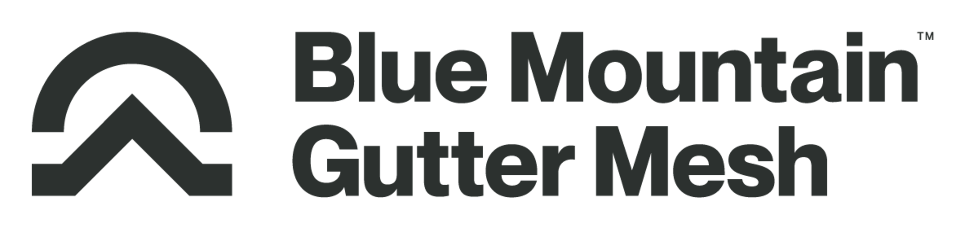 Blue Mountain Gutter mesh logo.