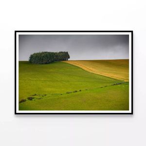 Green Field with a Tree  Print 100% Australian Made 120x90cm  (Poster)