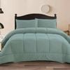 Ramesses Mirco Flannel Comforter Set Printing/Solid-Aqua