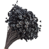 Blooms of Joy 50cm Black Springstar Flowers