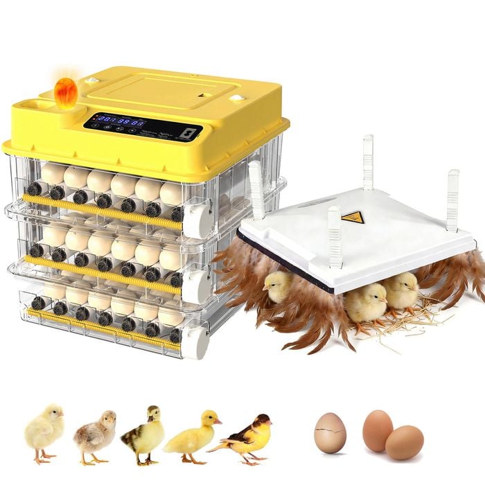 Advwin 108 Egg Incubator + Chicken Brooder Heating Plate
