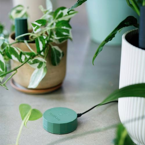 A scene
  with plants in pots and a Sensor and Hub 
