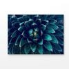 Dark Green Cactus Flower Closeup Print 100% Australian Made 75x50cm (Stretched Canvas)