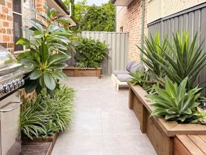 small Back yard with mature plants and bbq