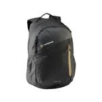 Caribee Sierra 20 Laptop Backpack Black Gold