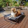 Charlie's Adventure Foldable Travel Pet Cot 107x61x20cm Large Black