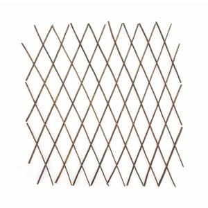 Garden Trellis & Stakes