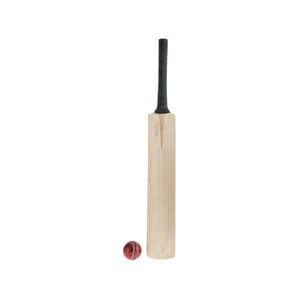 Cricket