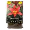 Yarra Valley Bulbs Sumo Ot Lilium Touchstone - 2 Pack
