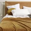 Accessorize Super Soft Blanket Queen/King Gold Harmony