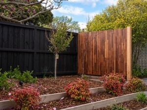 Timber screen installed in the garden.