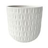 Northcote Pottery 9.5 x 8cm White Numi Mini Egg Ceramic Indoor Pot