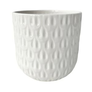 Northcote Pottery 9.5 x 8cm White Numi Mini Egg Ceramic Indoor Pot