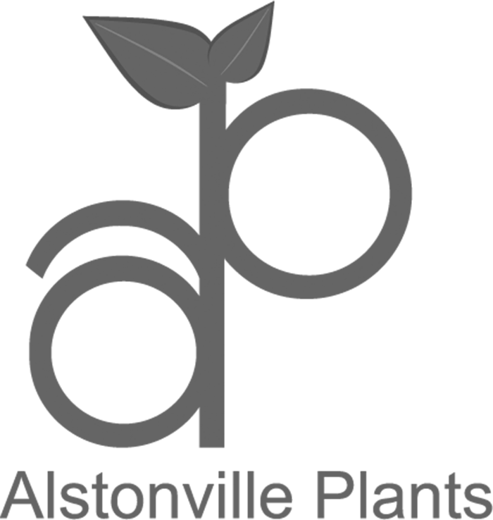 Alstonville Plants