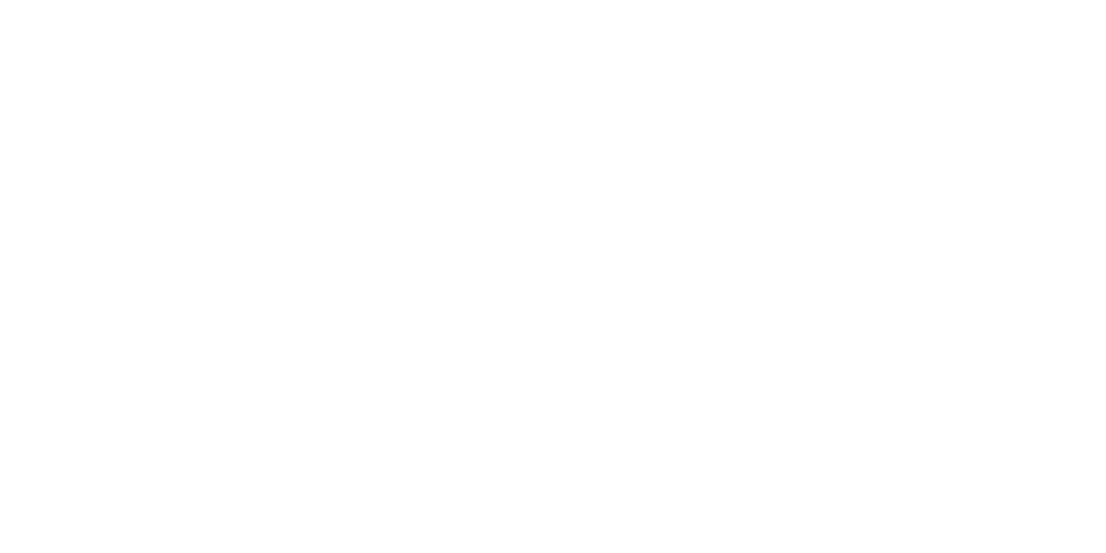 The word Bluey in white.