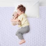 Dreamz 2x Waterproof Washable Mattress Protector Queen