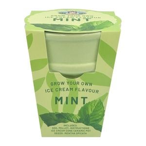 Mr Fothergill’s Spearmint Ice Cream Flavour Grow Kit
