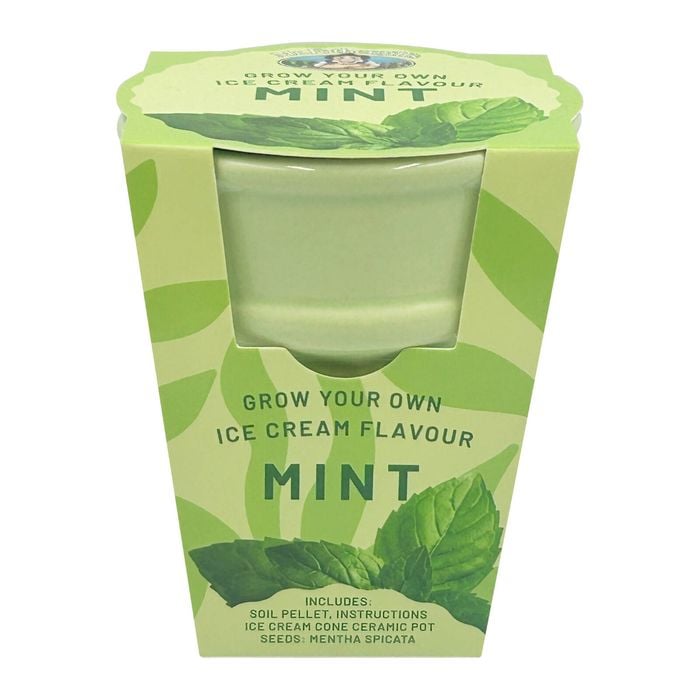 Mr Fothergill’s Spearmint Ice Cream Flavour Grow Kit
