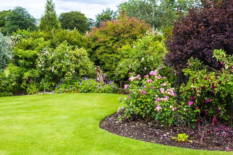 Backyard with manicured and maintained grass, trees and bushes