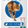 Bravecto Plus For Cats 2.8-6.25kg 2 x  Pipettes (Blue)