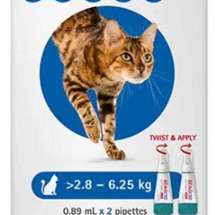 Bravecto Plus For Cats 2.8-6.25kg 2 x  Pipettes (Blue)