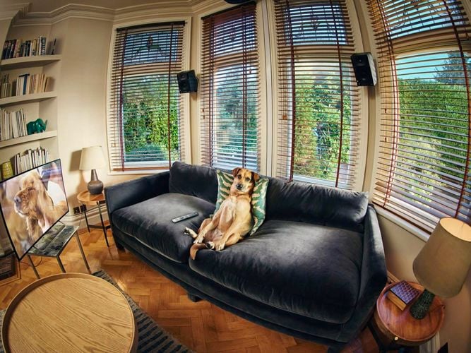 Brand page - Ring - POV-Lifestyle-LivingRoom-1