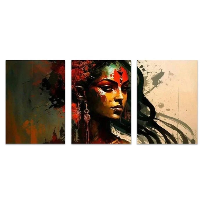 3pcs Vibrant Abstract Indian Woman Print 100% Australian Made 3 x 40x60cm (Metal Print)