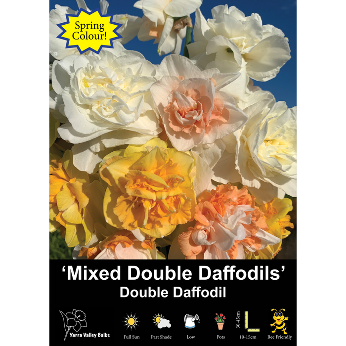 Yarra Valley Bulbs Daffodil Mixed Doubles - 4 Pack