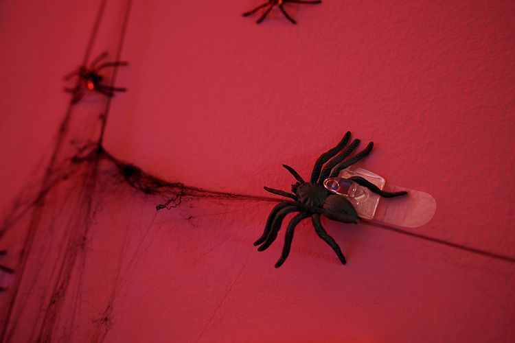 Command Hooks used to hang halloween decorations
