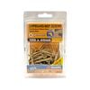 Zenith 10G x 40mm Gold Passivated Square Drive Chipboard Screw - 50 Pack