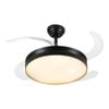 Windora Orien 42" Black Trim Ceiling Light with DC Ceiling Fan & 3CCT LED Remote Control