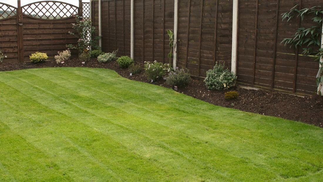 Freshly mowed backyard lawn with a clean lawn edge