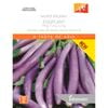 Johnsons Eggplant Ping Tung Long Vegetable Seeds