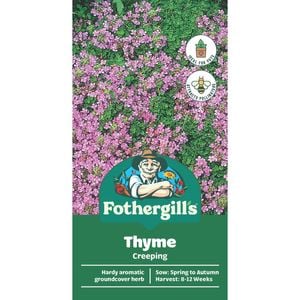 Fothergill's Thyme Creeping Seeds