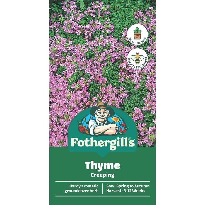 Fothergill's Thyme Creeping Seeds